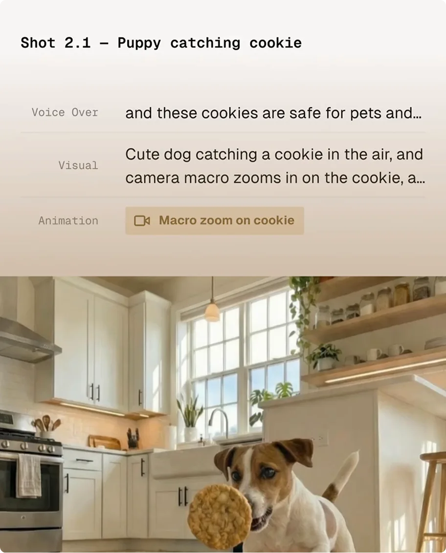 Turn scripts into videos